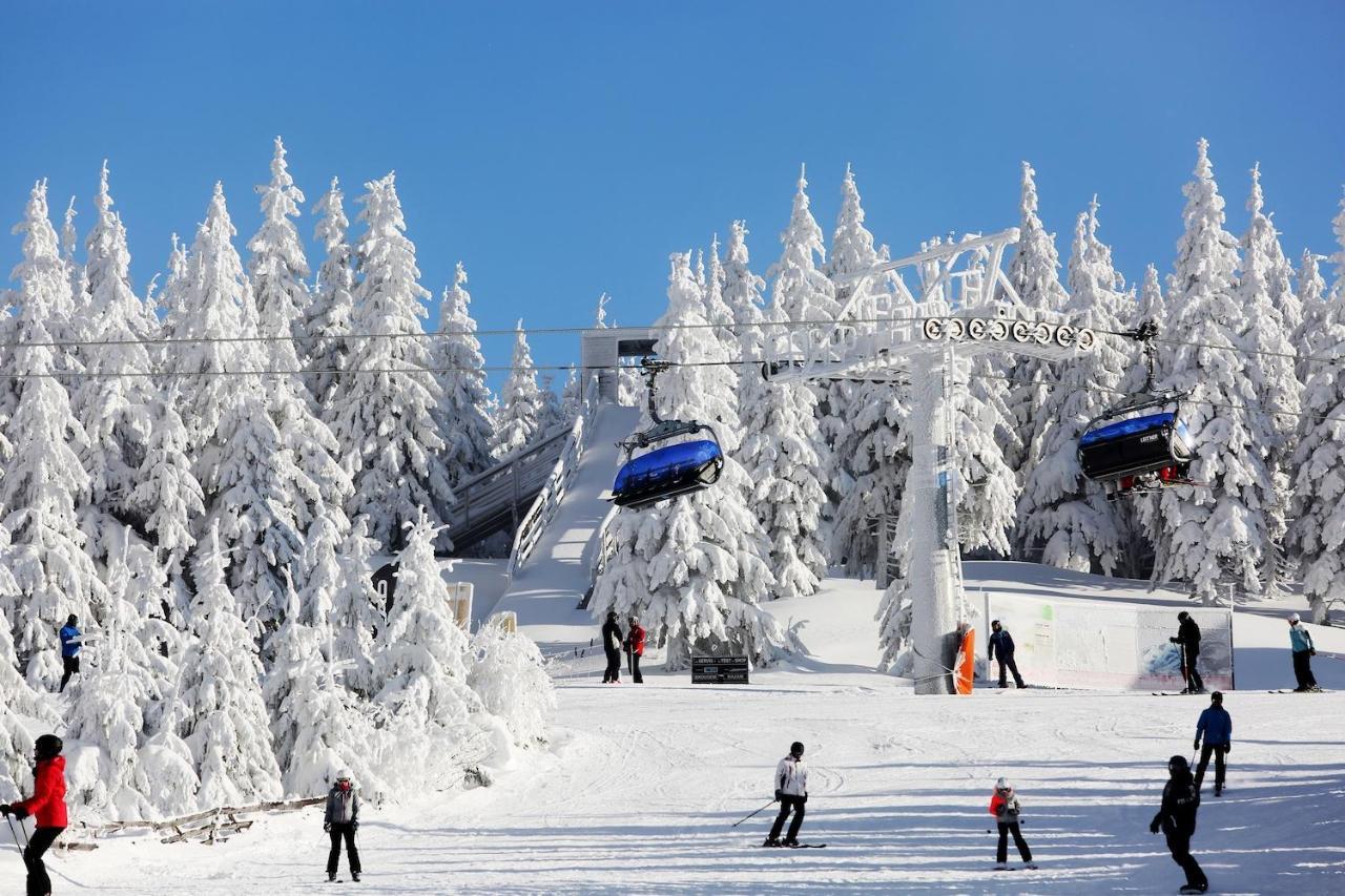 Apartman Dante Spindleruv Mlyn Apartment Luaran gambar